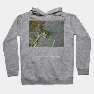 Froggy Hoodie